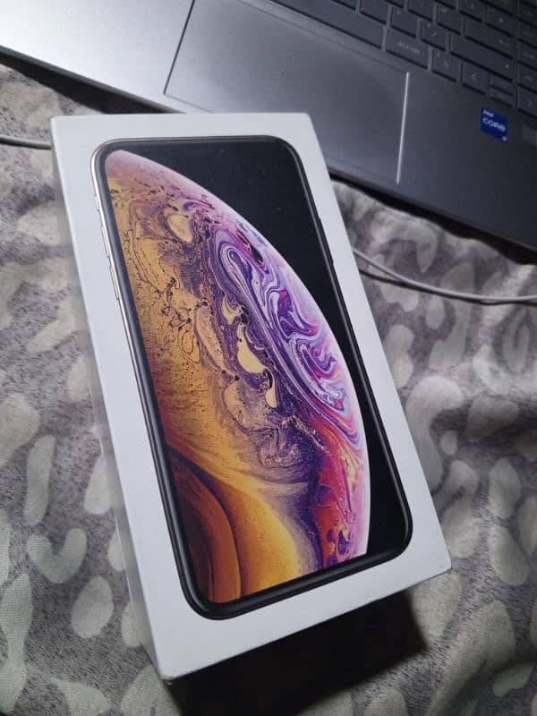 iphone xs 64 Gb Pta dual approvel 5