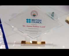 Acrylic Shields, Awards