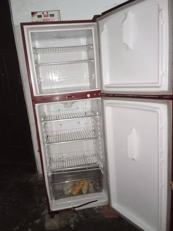 singer glare freezer 3