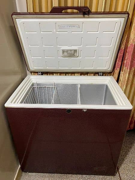 Pel Deep Freezer 100% working condition No Any work done 5