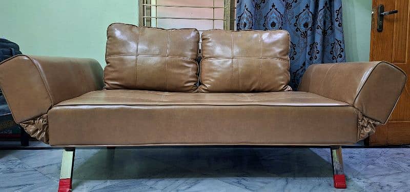 Rolfing Sofa Cum Bed 4