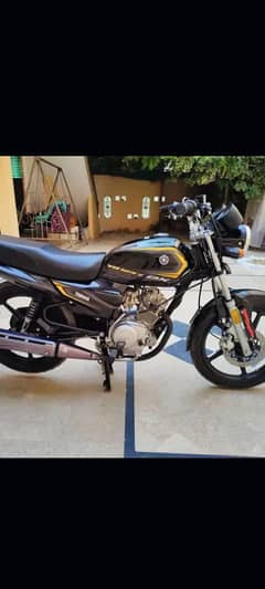 yb 125z dx all ok 2024 model 10/10 condition 0