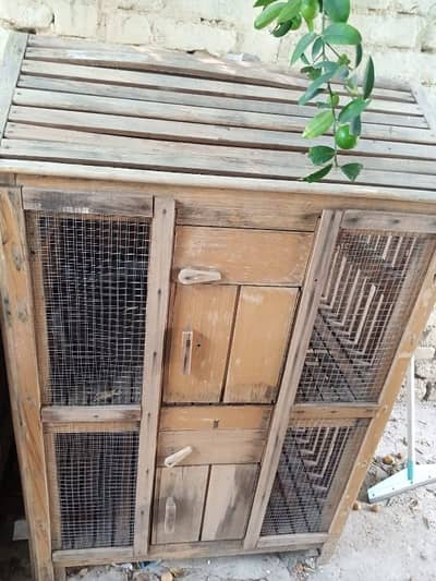strong wooden birds and hen cage
