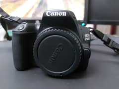 Canon 250D DSLR