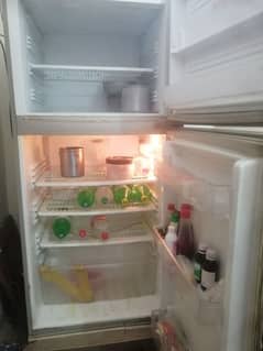 pel fridge