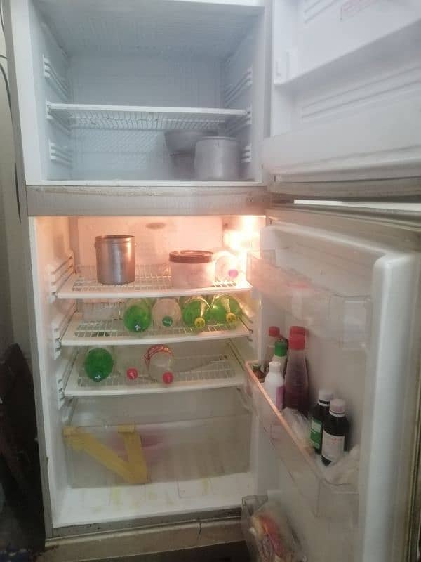 pel fridge 1