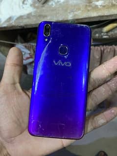 vivo