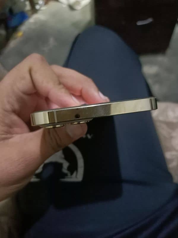 i phone 12 pro max golden colour 128 gb jv (03244988783) 1