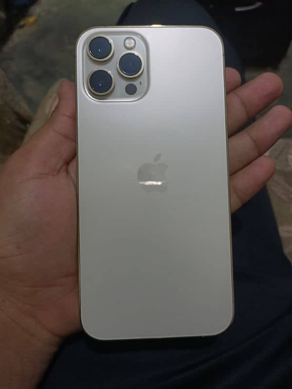 i phone 12 pro max golden colour 128 gb jv (03244988783) 4