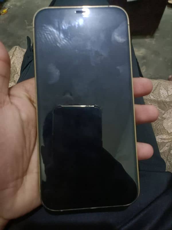 i phone 12 pro max golden colour 128 gb jv (03244988783) 6