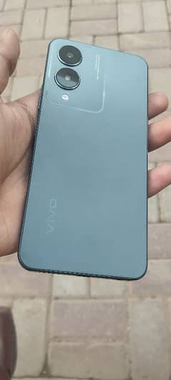 Vivo