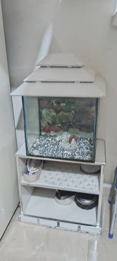 white color aquarium