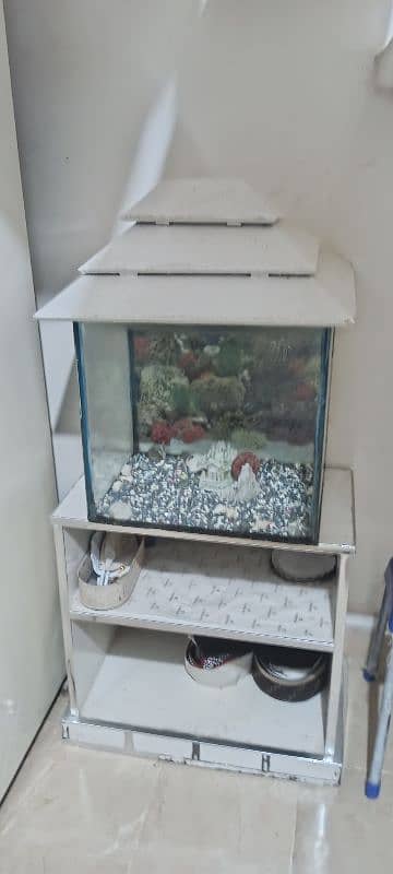 white color aquarium 0