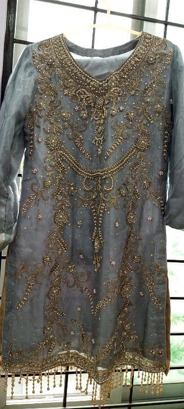 Grey Organza dress with Golden work 2