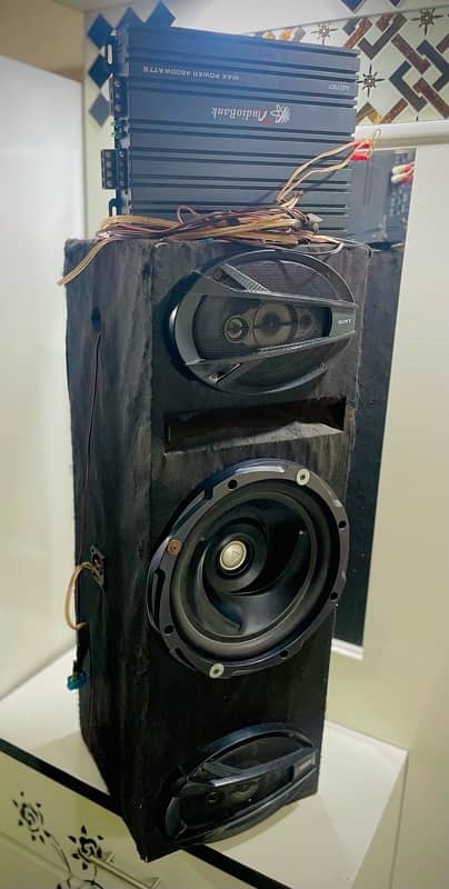 Woofers and Amplifier 2