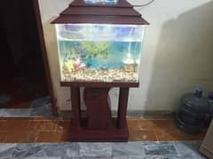 Big fish aquarium for sale