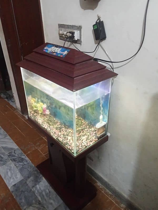 Big fish aquarium for sale 1