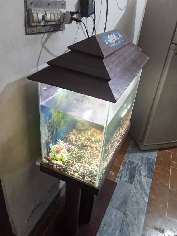 Big fish aquarium for sale 2