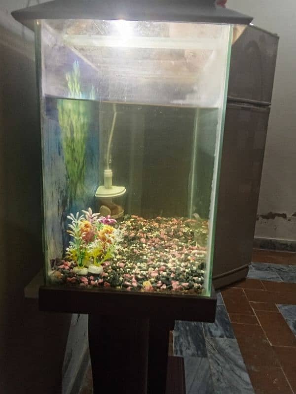 Big fish aquarium for sale 3