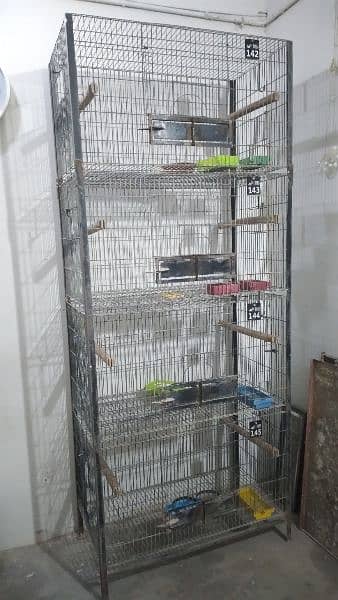 4 protion cage best quality for love brid 0