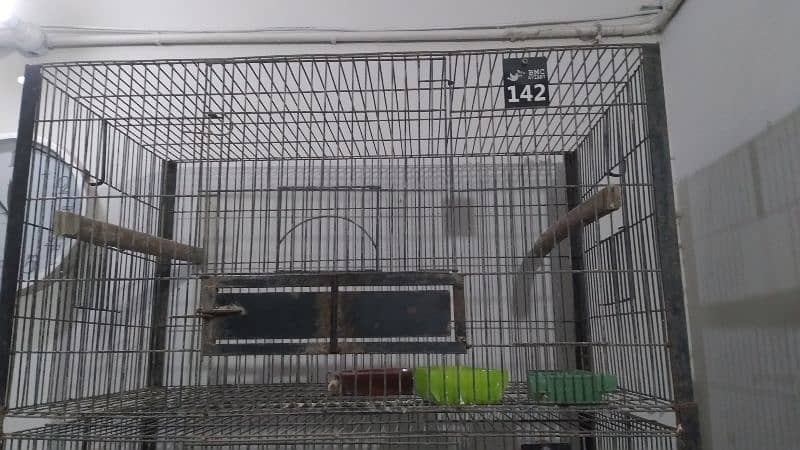 4 protion cage best quality for love brid 1