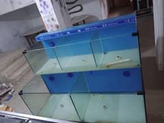 fishing tank