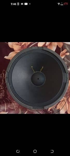 12 inch speaker with box 0