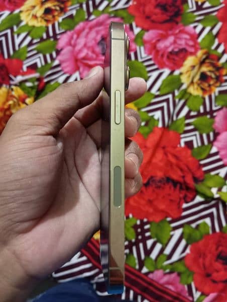 I phone 13pro 1TB condition 10by 9.9 3 month SIM chaly gi 2