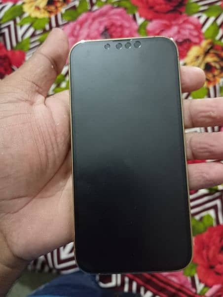 I phone 13pro 1TB condition 10by 9.9 3 month SIM chaly gi 3