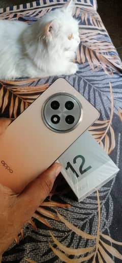 Oppo Reno 12f New phone 11 Month ki warrenty hy 0