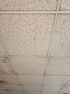 Ceiling Pannels 0