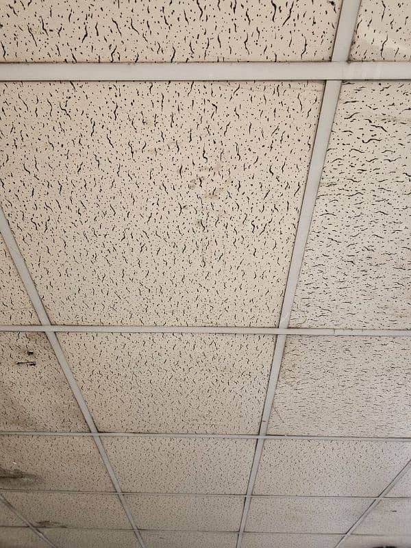 Ceiling Pannels 0