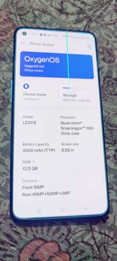 OnePlus 9 (12/256 with one green line)