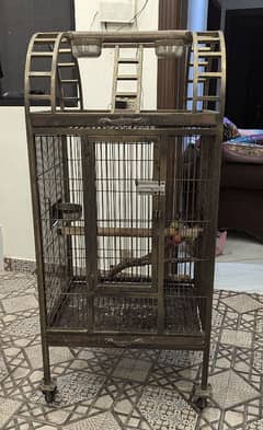 Cage for grey/cockatoo