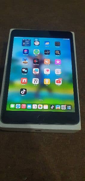 Ipad Mini 5 256GB With Box (Read add) 1