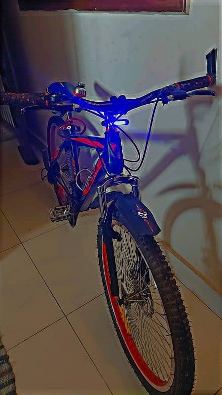 Morgan mountain bicycle 2