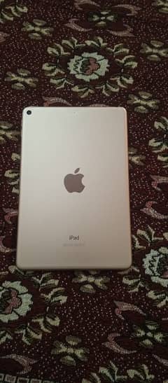 Ipad Mini 5 64GB