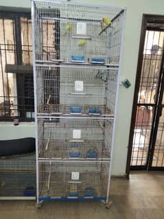 birds pinjra for sale