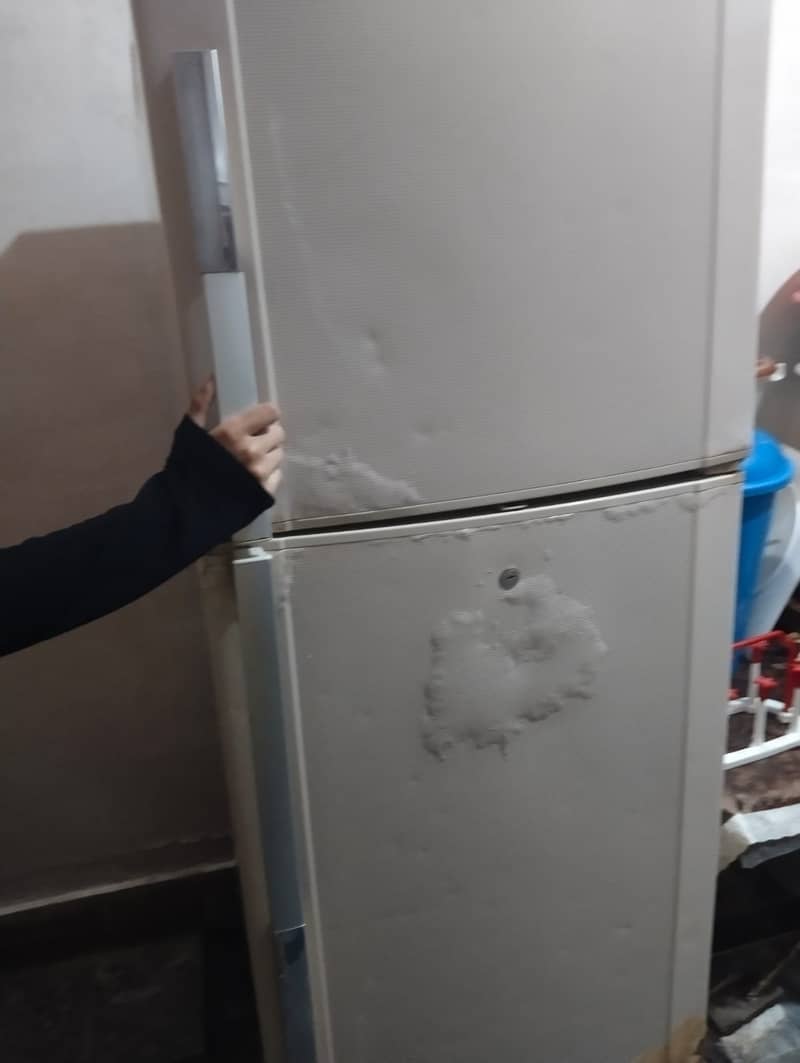 Large Size Fridge Dawlance 100% working not a single fault 3