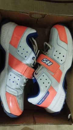 Cricket shoes HS 41 Pro