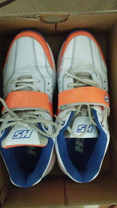 Cricket shoes HS 41 Pro 6