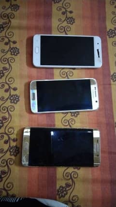 Samsung hy n oppo