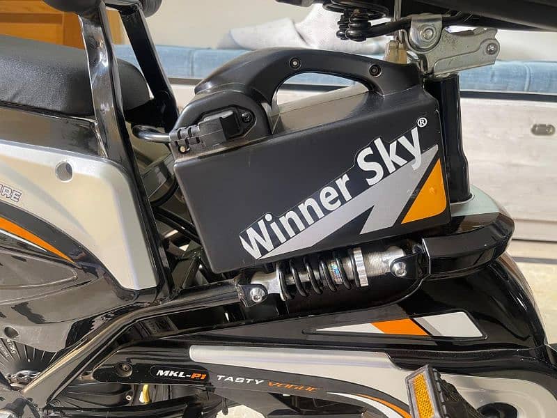 Electric Bicycle Winner sky 5