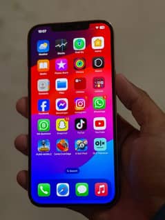 Apple iPhone 12 Pro Max READ ADD