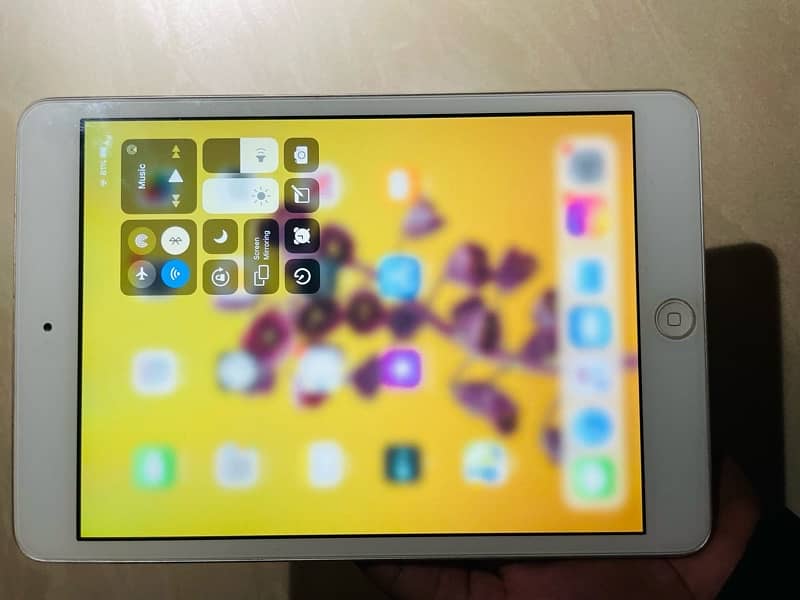 iPad Mini 2 7