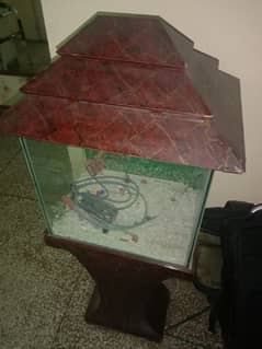 aquarium for sale