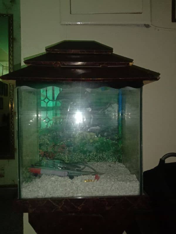 aquarium for sale 1