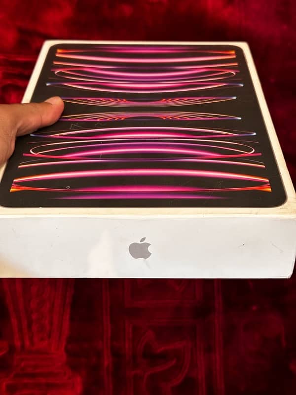 iPad Pro M-2 (4th Gen) 8