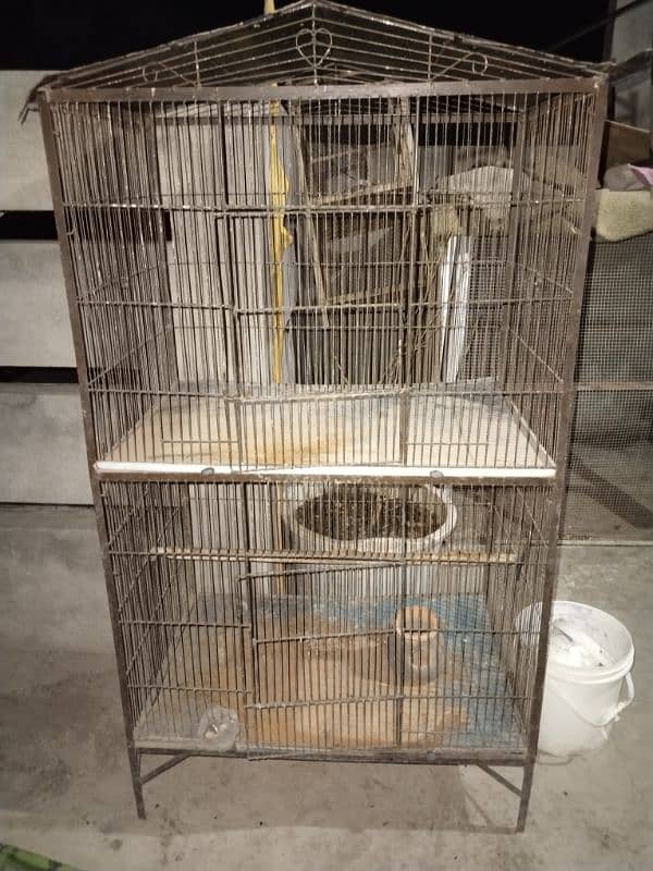 birds cage 3