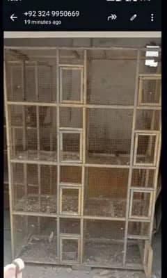 pigeon cage